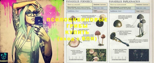 MESCALINE Медногорск