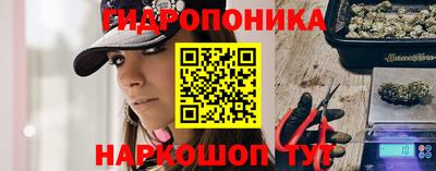 наркотики Боровичи